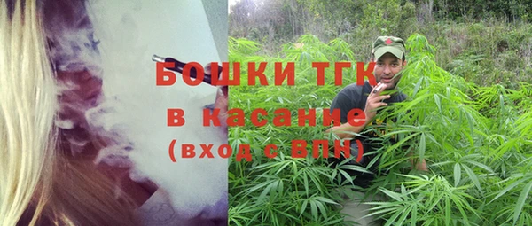 2c-b Богородицк