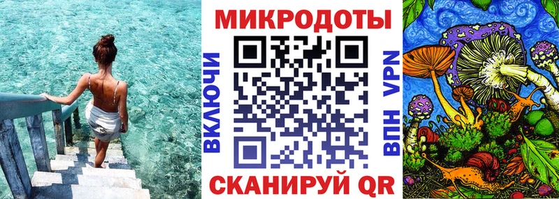 Галлюциногенные грибы Cubensis где купить наркоту Городище